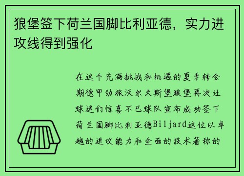 狼堡签下荷兰国脚比利亚德，实力进攻线得到强化